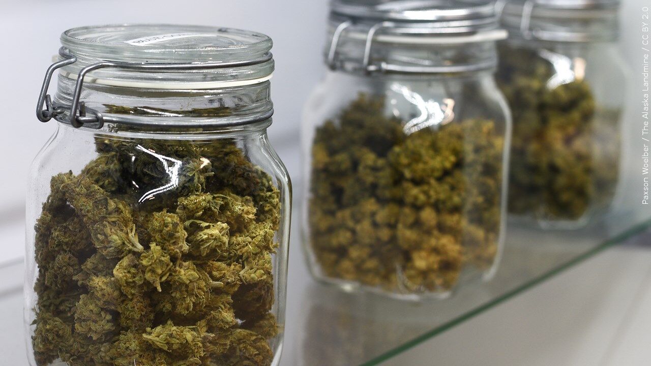 Marijuana cannabis mgn.jpg